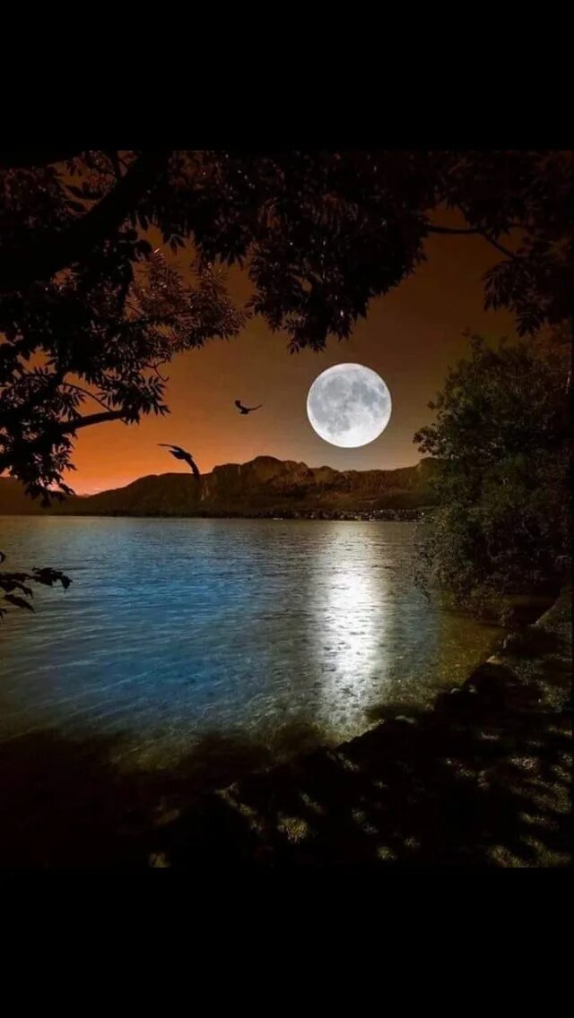 Ночь Луна море горы. Ночная прохлада. Прохладной ночи. Луна в тумане закат.