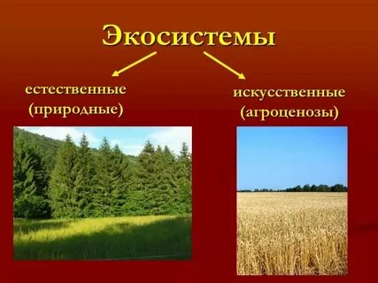 Натуральные и искусственные цвета