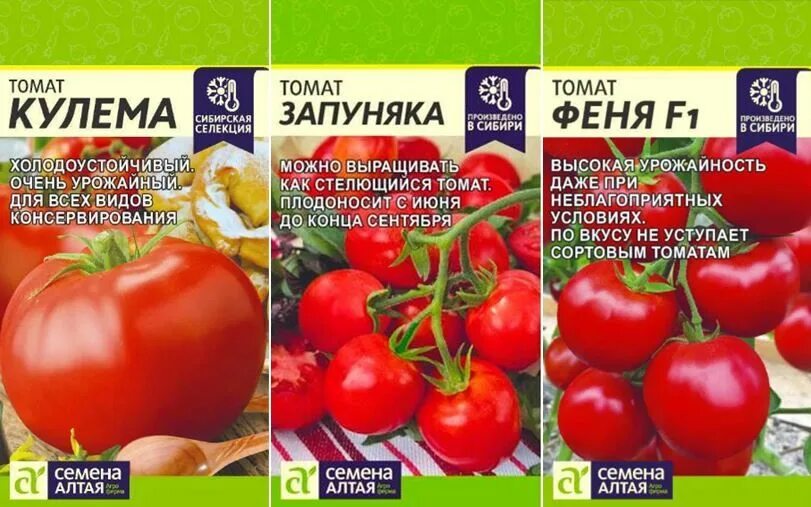 Томат сорт запуняка описание сорта отзывы. Томат запуняко семена алтая. томат кулема характеристика. томат феня. томат кулема (алтай).