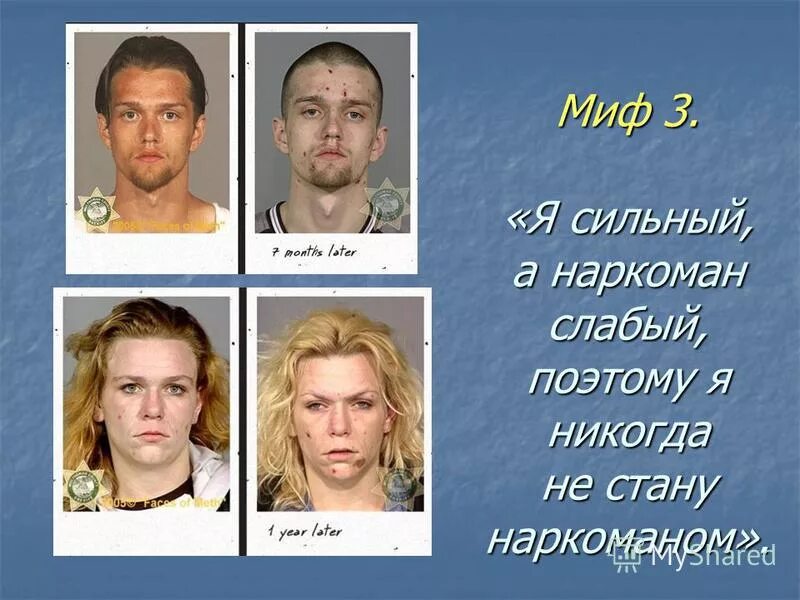 эволюция борьба за существование. существование сильно. бытие. нормативные модели поведения. шкала ричарда докинза.