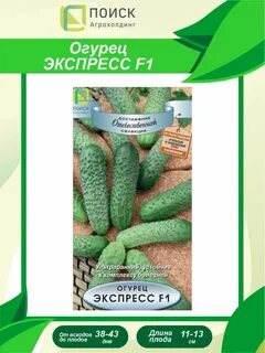 Огурец экспресс