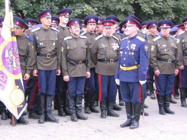 форма казаков донского казачьего войска. атаман вко ввд всевеликое войско донское. атаман ввко иванов. атаман войскового казачьего общества всевеликое войско донское. казачий атаман калмыкии.