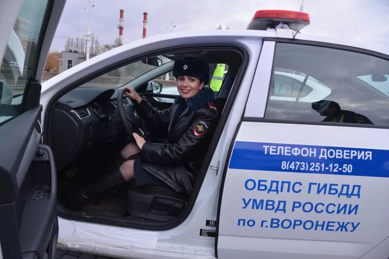 Автомобиль через гибдд