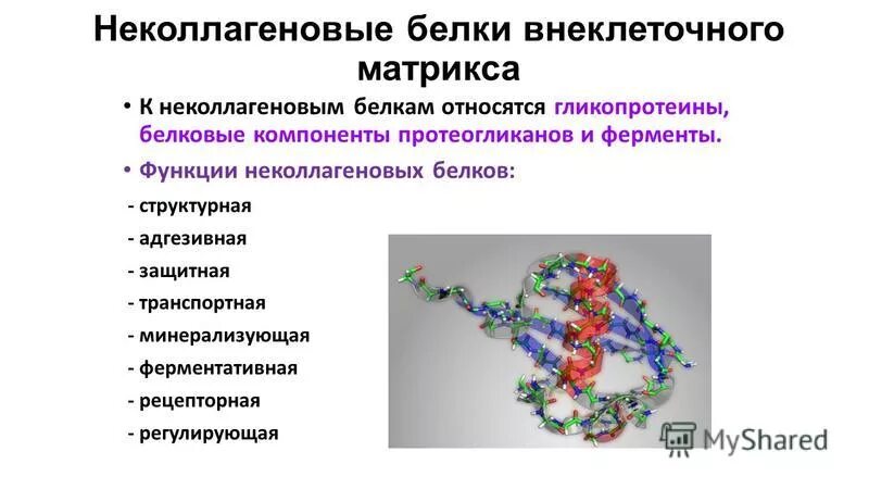 Вторичная структура важна. Складчатая структура белка примеры. B складчатая структура белка. Азот в трех состояниях. Фиброин шелка структура.