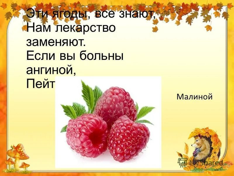 словарная работа со словом ягода. прилагательные единственного и множественного числа. малина загадка для детей. ягода словарное слово. класс ягод.