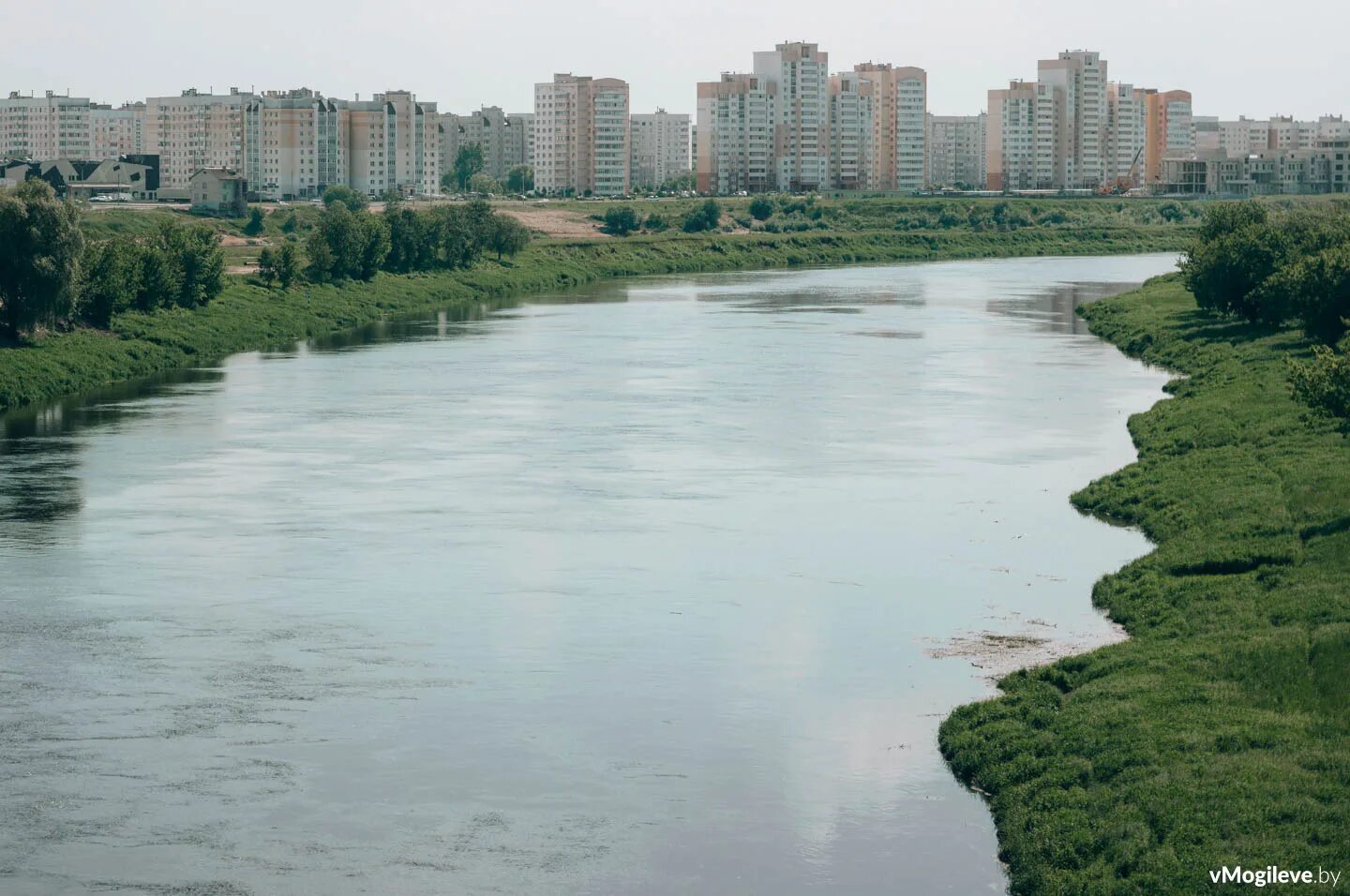 Уровень воды в днепре могилев сегодня. Могилев река Днепр. Днепр Могилев. Могилев набережная Днепра. Могилёв Беларусь Днепр.