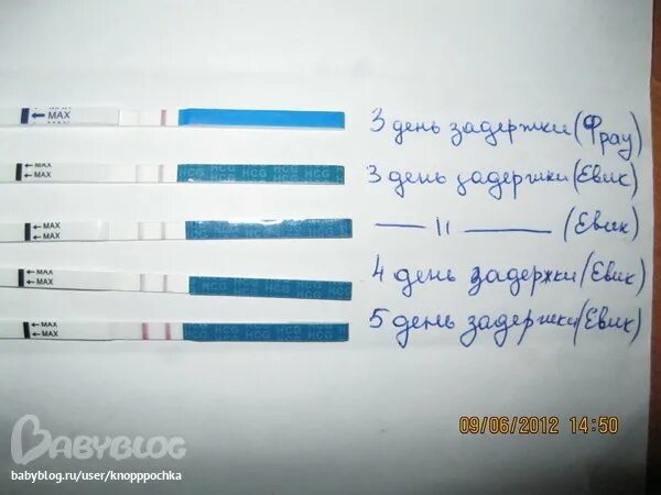 5 отрицательных тестов на беременность. Тесты при задержке месячных. Задержка тест отрицательный. Задержка месячных тест. Тест на 2 день задержки.