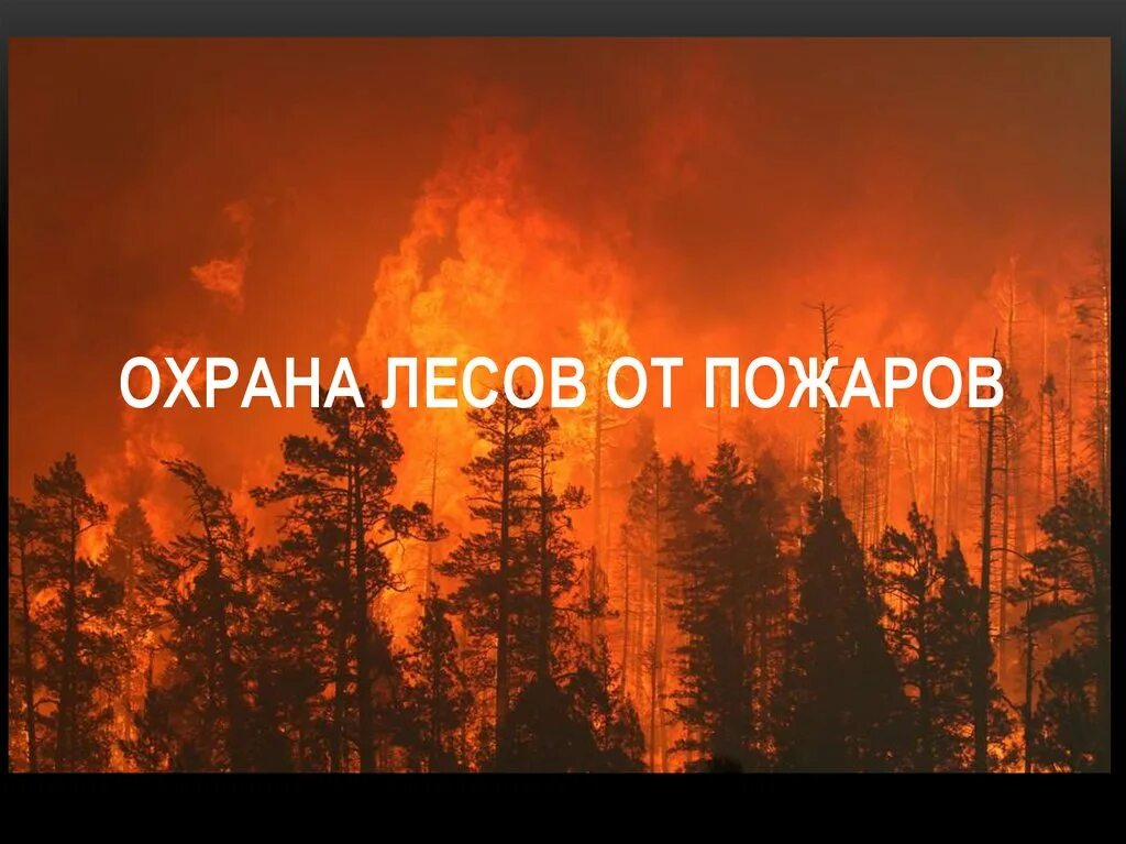 Лесные пожары 2 класс. Сохрна лесаа от пожара. Охрана леса. Защита леса от пожара. Охрана лесов о пожаров.