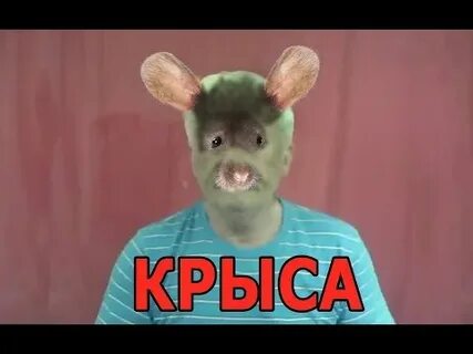 Хамстар
