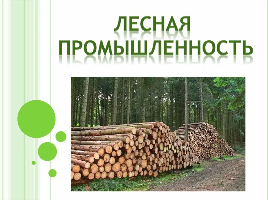 Класс лесная промышленность