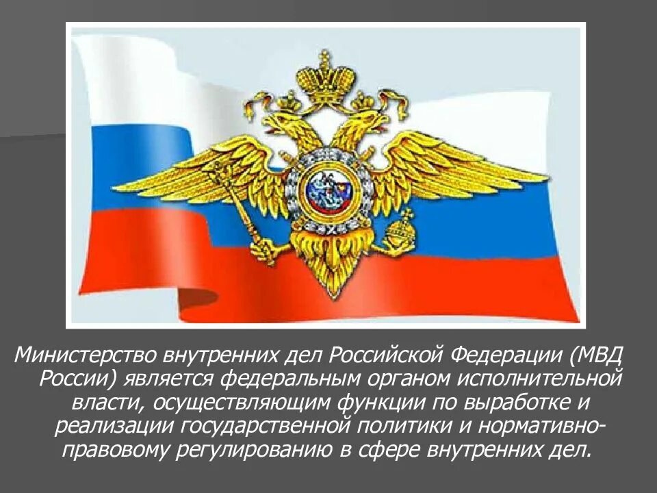 Органы внутренних дел рф полиция. Органы исполнительной власти МВД. Министерство внутренних дел Российской Федерации. Презентация МВД России. МВД РФ для презентации.