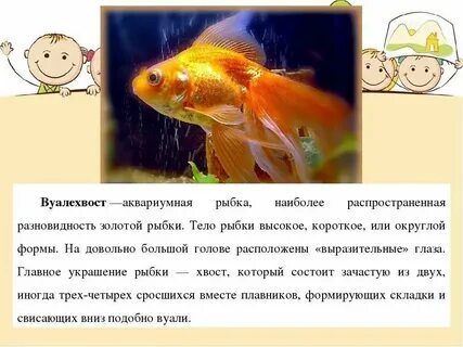 Рассказ про рыбку 1 класс