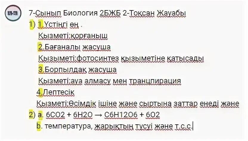 Бжб 6 сынып информатика 3 тоқсан