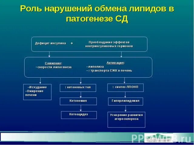 Нарушения липидного обмена атеросклероз. Роль нарушения липидного обмена в развитии атеросклероза. роль нарушений липидного обмена в патогенезе атеросклероза. нарушения липидного обмена. патогенез атеросклероза. нарушение углеводного обмена.