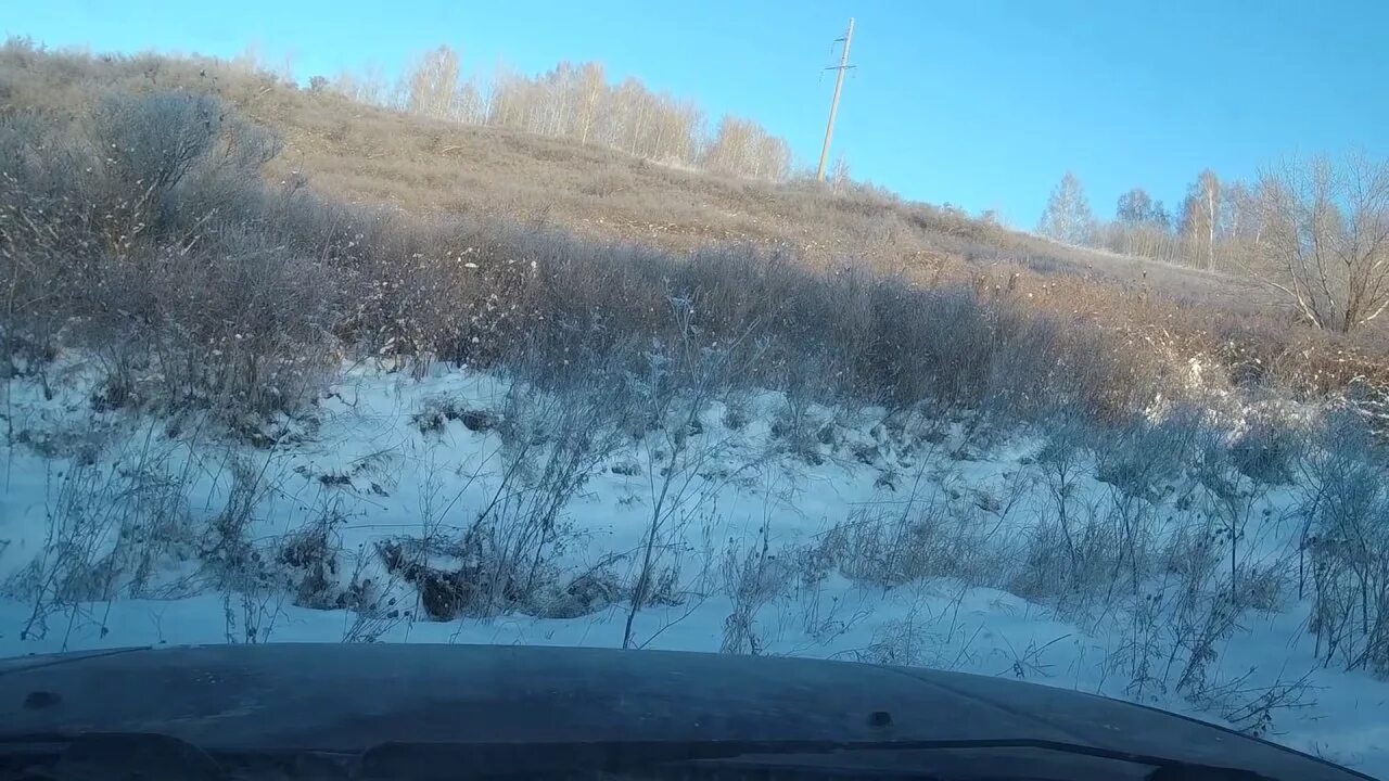 Пуштулим алтайский край. Пуштулим алтайский край на карте. Пуштулим алтайский край. Пуштулим фото. Погода в пуштулим алтайский край.