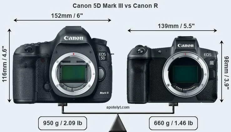 R6 mark ii. Canon r6 vs mark 4. canon eos r и r6. canon eos r6 vs canon 5d mark3. canon r6 canon 5d mark 4.