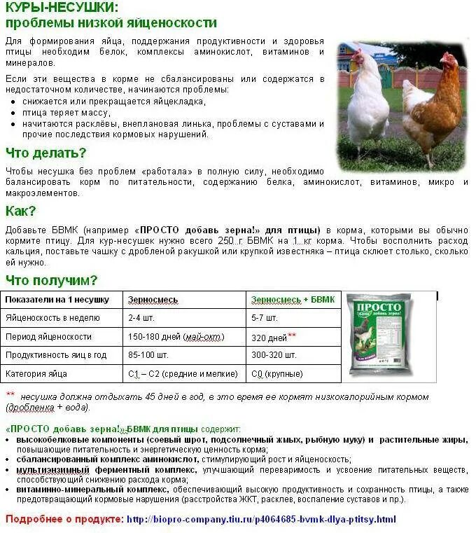 Нужно ли помогать цыплятам. Препараты для цыплят бройлеров с первых дней. Витамины и антибиотики для бройлеров. Антибиотики для кур бройлеров. Антибиотик для цыплят лучший несушек.