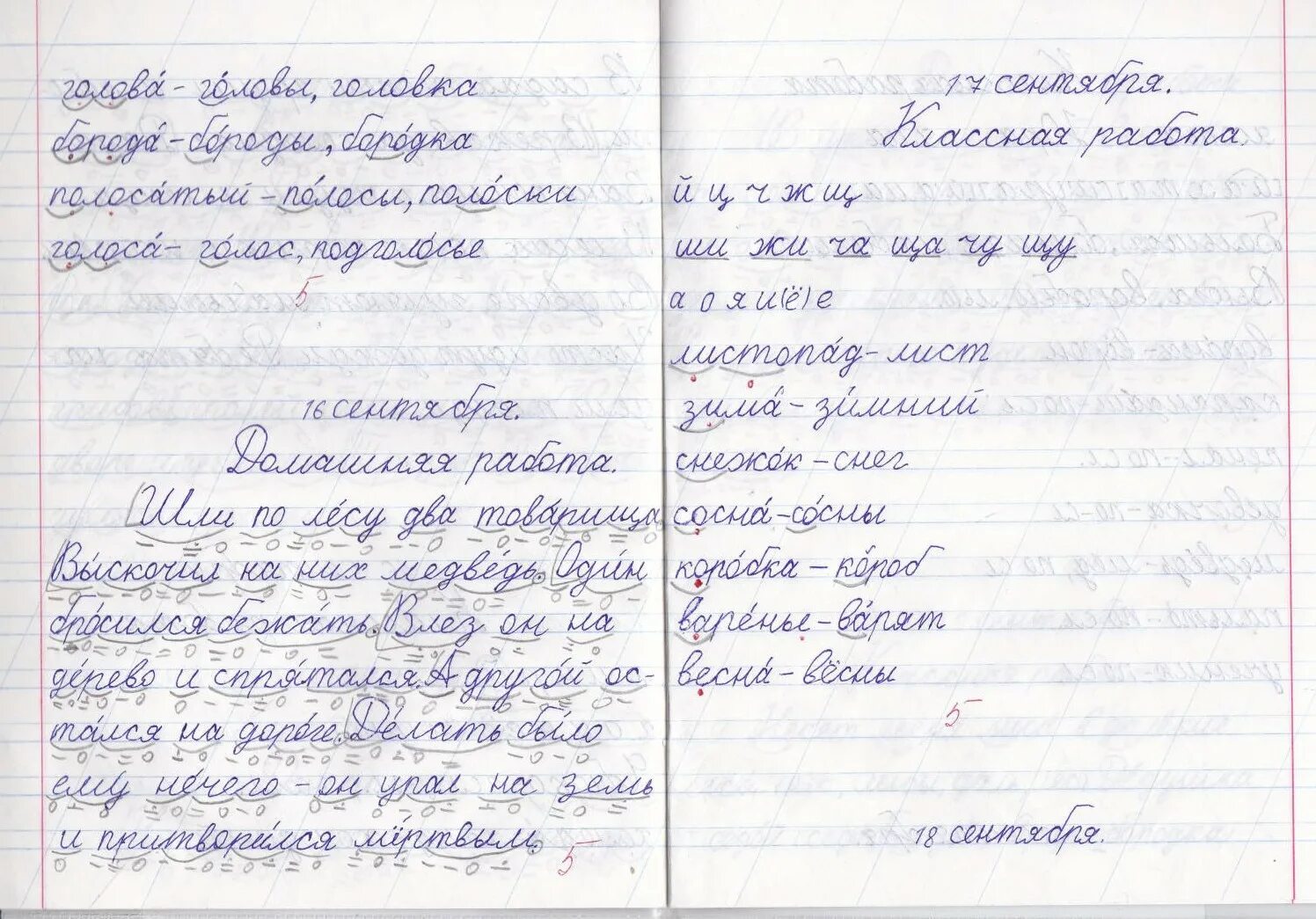 В широкой линейке как писать тетради образец