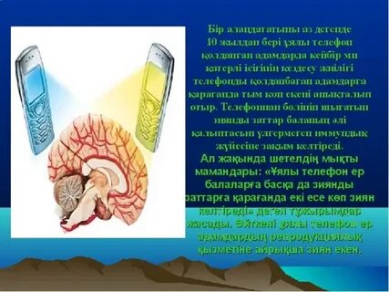 Порно түсірілім алаңында күтпеген жерден аяқталды