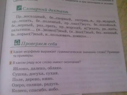 Окончание в слове яблок
