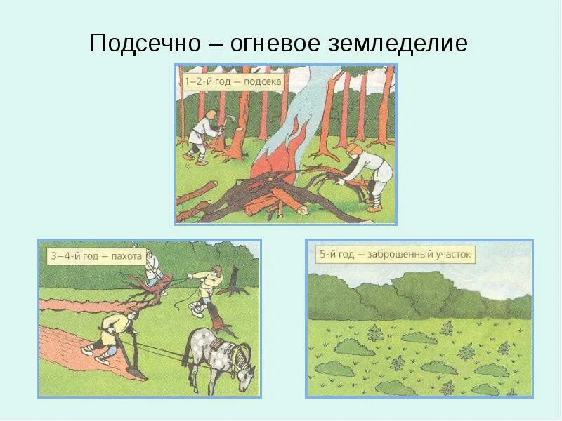 Какая система земледелия изображена на картинке. Подсечное земледелие восточных славян. подсечно огневое земледелие у славян. подсечно-огневая система земледелия это. подсечно огневая система земледелия в древней руси.