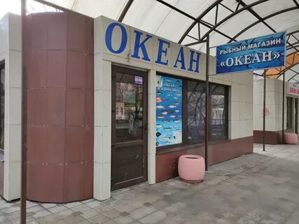 Магазин океан адрес