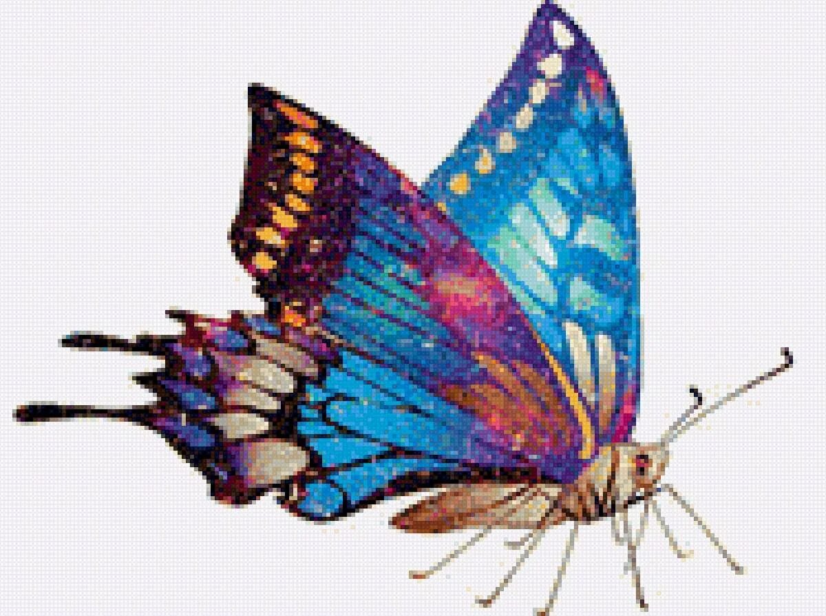 Изображения в формате gif. Анимационные бабочки на прозрачном фоне. Бабочки анимация на прозрачном фоне. Анимированные бабочки на прозрачном фоне. Клипарт бабочки на прозрачном фоне.