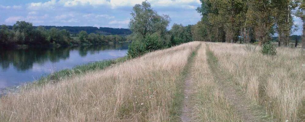 Левшинка курская область. Левшинка курская область. Деревня левшинка курская область. Левшинка курская область. Левшинка курская область.