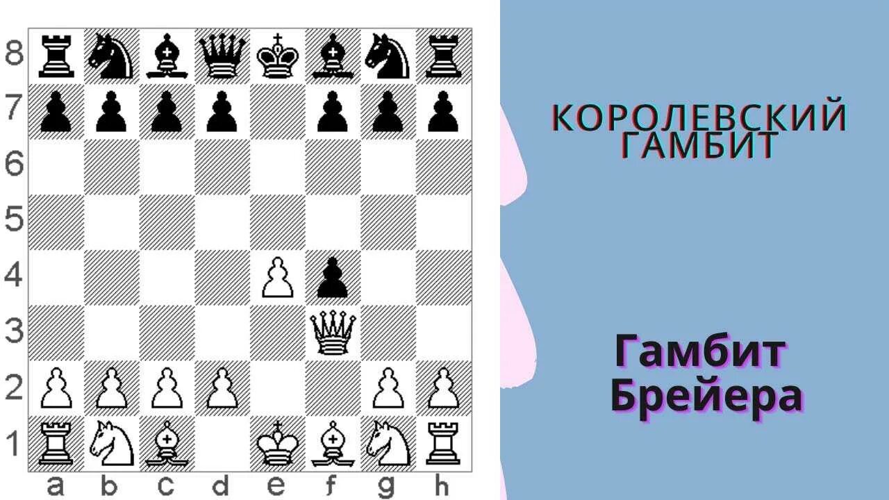 Гамбит в шахматах это. Дебют в шахматах королевский гамбит. королевский гамбит в шахматах за белых. королевский гамбит шахматы ловушки. северный гамбит шахматы.