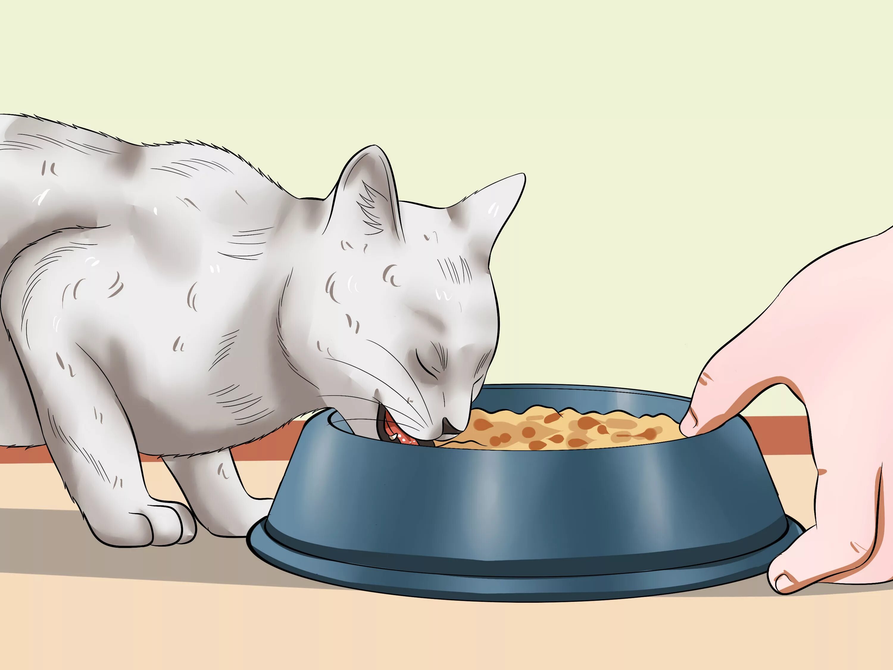 Кошка перестала кушать. WIKIHOW кошки. Кошка проверяет продукты рисунок. Кот тело сыр. Кот ГАЗ.