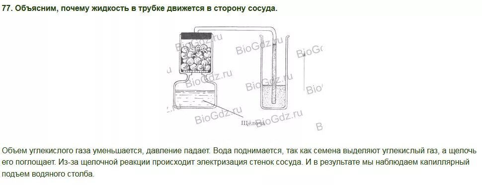 Расскажите об опыте изображенном на рисунке 152. Почему жидкость в трубке движется в сторону сосуда. Рассмотрите рисунок о чем свидетельствует опыт изображенный.