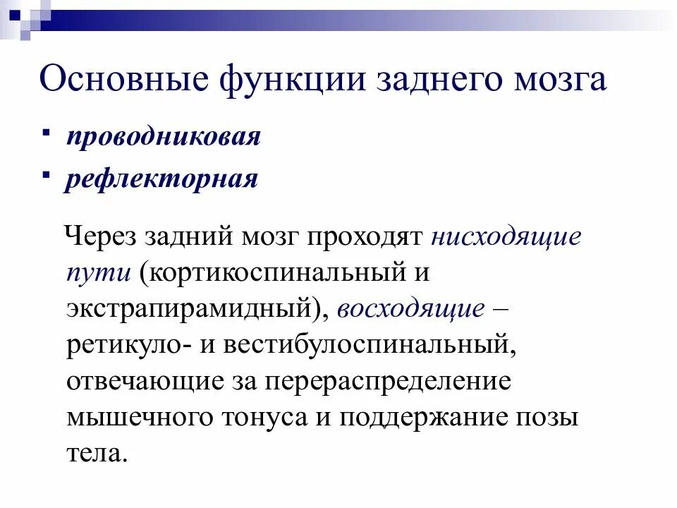 Задний мозг выполняемые функции. Задний мозг функции. Отделы заднего мозга и их функции. Рефлекторная функция заднего мозга. Проводниковая функция заднего мозга.