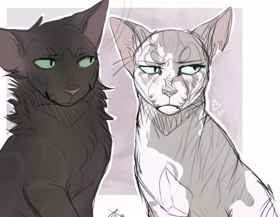 Грей пиллоу коты воители. Коты Воители Остролистая и Искра арт. Коты Воители иска и Остролистая. Коты Воители Остролистая и Искра. Cats Warriors Искра и Остролистая