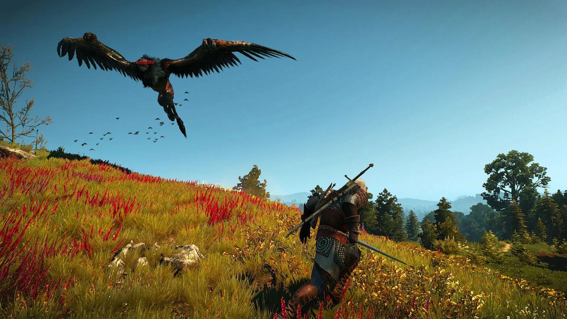 Red sound ведьмак. Red sound ведьмак. Ведьмак 3 трейлер. Ведьмак 3 скрины. Ведьмак 3 дикая охота грифон.