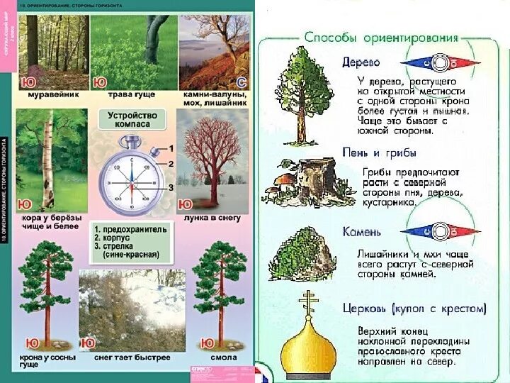 Ориентирование на местности видео 2 класс. Методы определения сторон света без компаса. Как ориентироваться на местности без компаса. 5 Способов ориентирования на местности. Основные способы ориентирования схема.