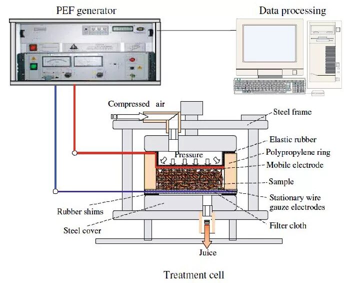 Генератор данных. Технология PEF. Технология PEF для пищи. Peak expiratory Flow ардуино. Field processing