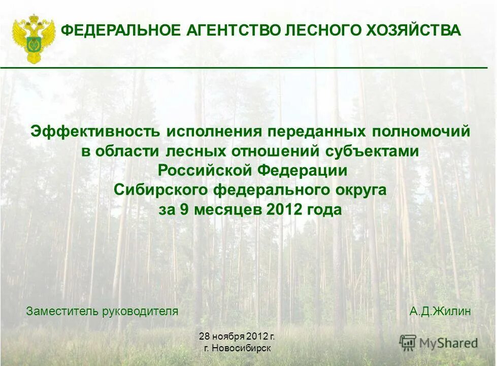 проблемы лесопользования. методы охраны лесов. лесное хозяйство регионы рф. статистика лесного хозяйства. эффективность использования лесов.