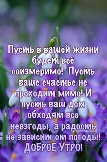 Добрые жизненные пожелания в картинках с