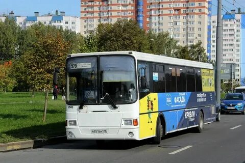 579 приладожский дыбенко