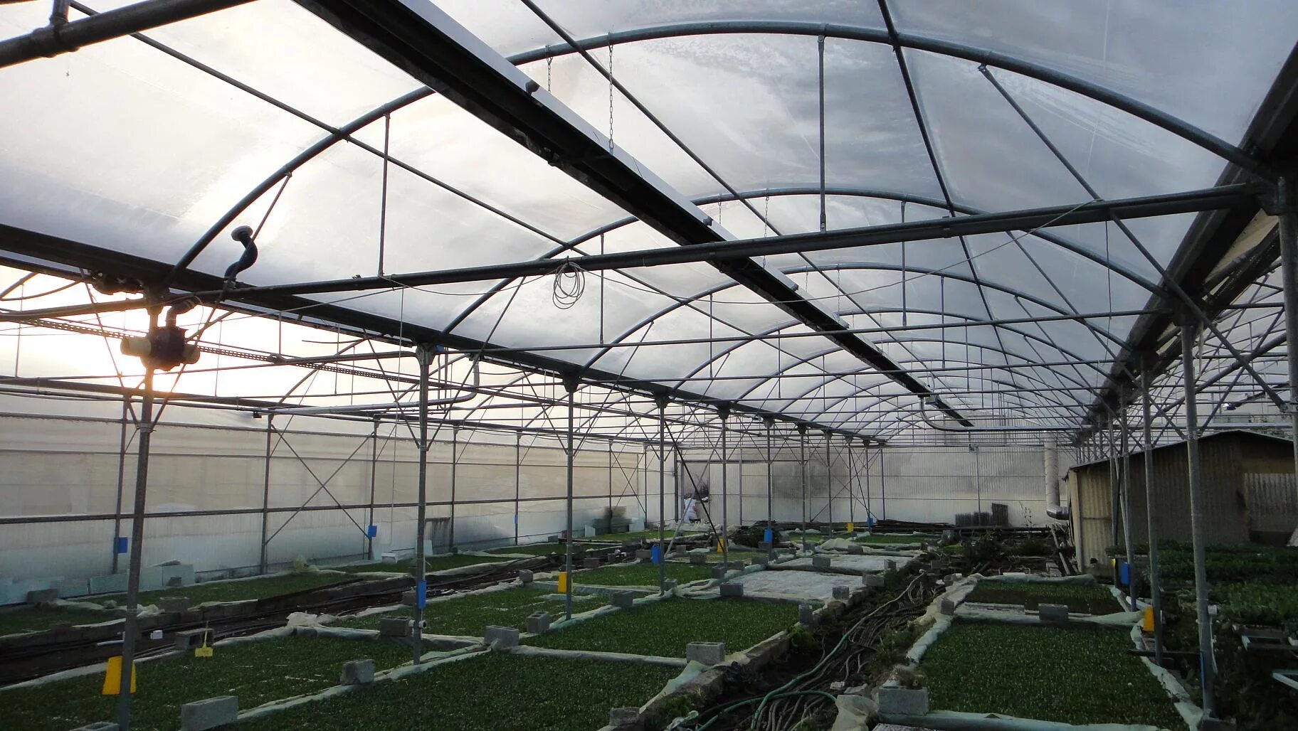 отапливаемая теплица. теплица освещение отопление. зимняя теплица 6 на 3. теплица зимняя обогреваемая.