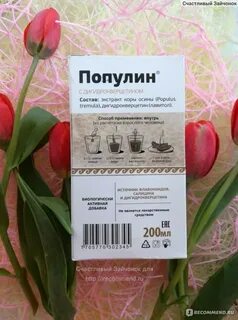 Популин раствор для приема внутрь