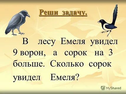 Магазин три сороки