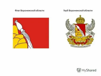 Флаг воронежа