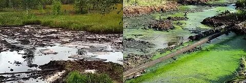 Рекультивация земель загрязненных тяжелыми металлами