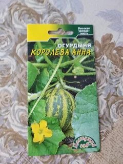 Огурдыня отзывы