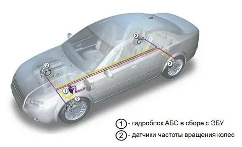 Абс лютный