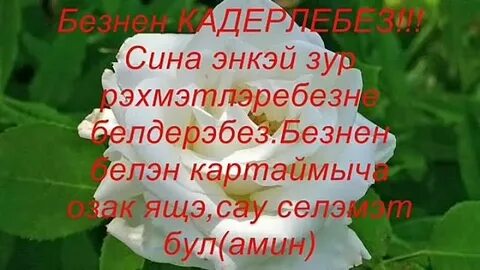 Энилэр коненэ открыткалар татарча
