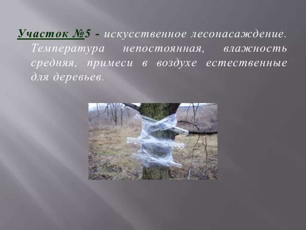 Примеси газов в воздухе. Примеси в воздухе. Какие примеси есть в воздухе. Пассивные примеси в воздухе. Примеси в воздухе 3 класс.