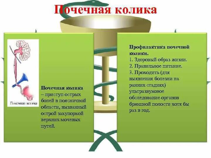 Факторы почечной колики. Факторы почечной колики. Ятрогенные факторы. Почечная колика и аппендицит дифференциальная диагностика. Факторы почечной колики.