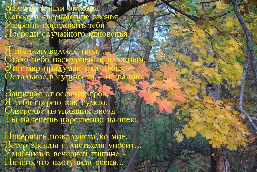 Осенняя погода стихотворение. Стихи про погоду. Стих у природы нет плохой погоды. Стихи о плохой осенней погоде. Осень жизни как и осень года с надписями.